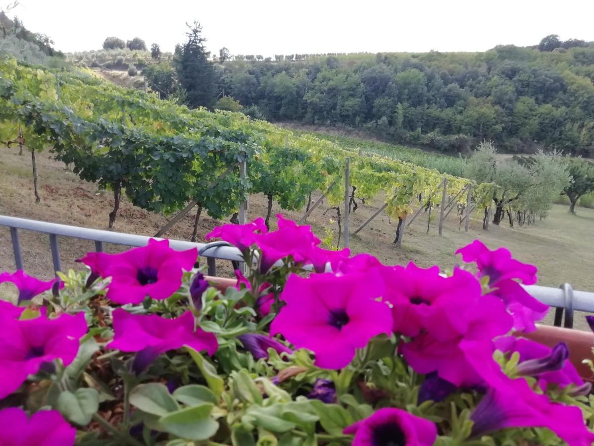 דירות פוג'יבונסי Poggio Massiccioli מראה חיצוני תמונה